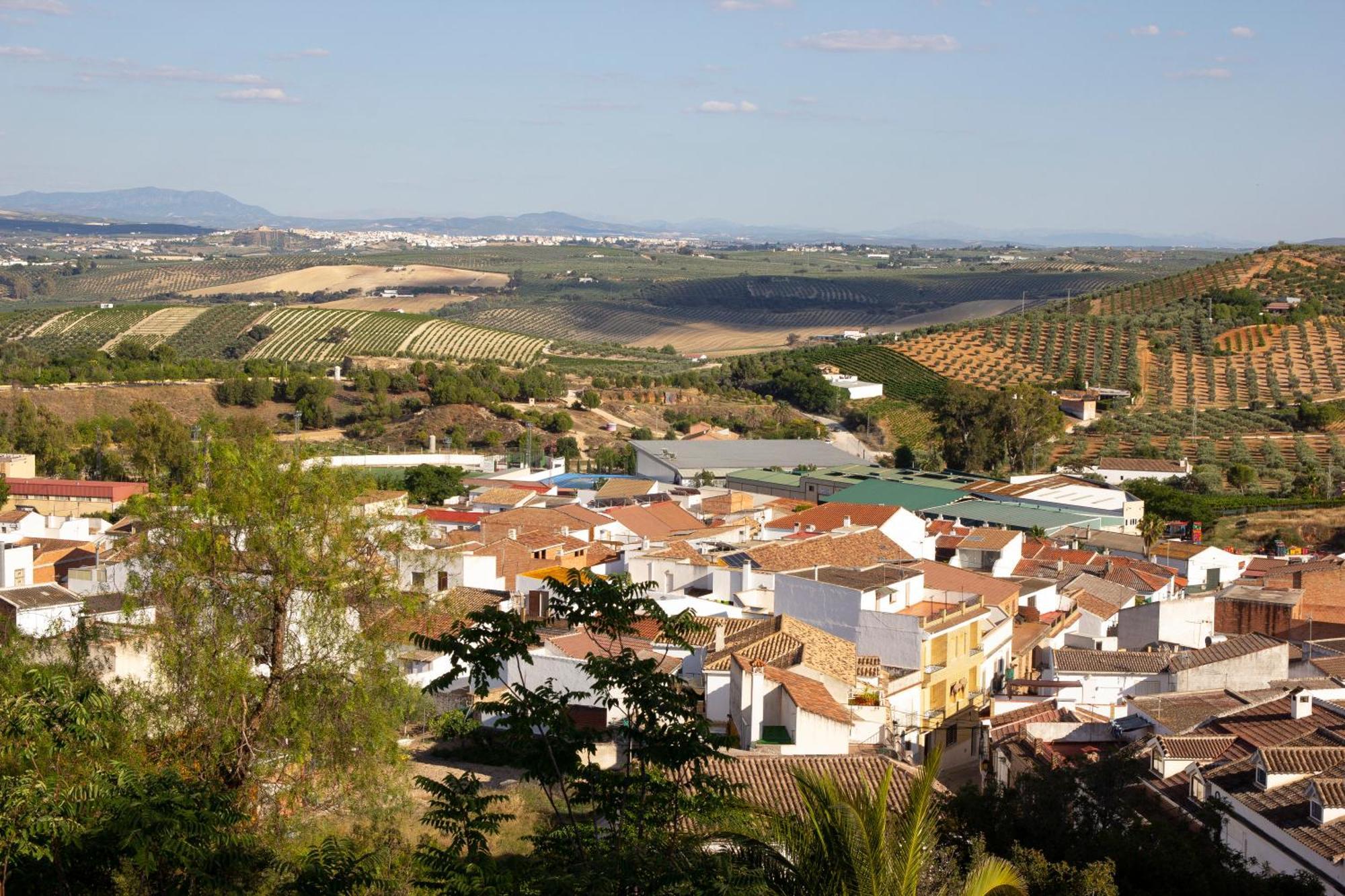 Montemayor Hostal Restaurante El Cary מראה חיצוני תמונה